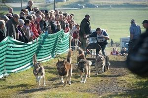 sleddogfriends2010-_107