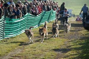 sleddogfriends2010-_110