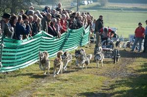 sleddogfriends2010-_116