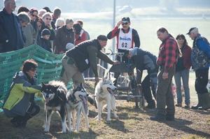 sleddogfriends2010-_44