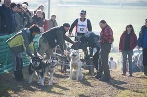 sleddogfriends2010-_45