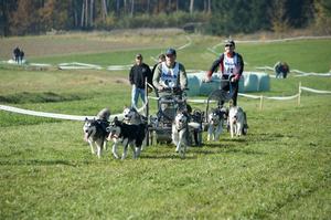 sleddogfriends2010-_62