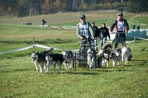 sleddogfriends2010-_64