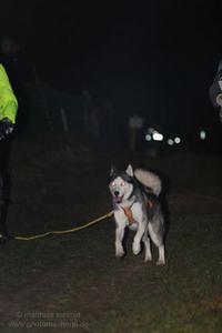 2013_11_01_schlittenhunderennen_028