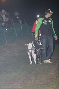 2013_11_01_schlittenhunderennen_030
