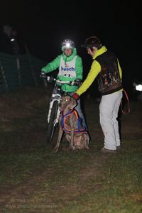 2013_11_01_schlittenhunderennen_035