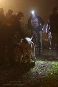2013_11_01_schlittenhunderennen_054