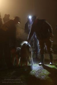 2013_11_01_schlittenhunderennen_055