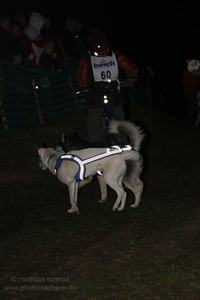 2013_11_01_schlittenhunderennen_064