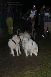 2013_11_01_schlittenhunderennen_085