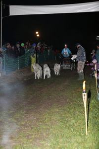 2013_11_01_schlittenhunderennen_103