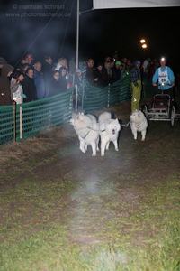 2013_11_01_schlittenhunderennen_104