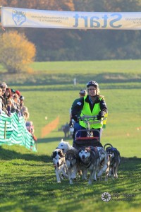 sign_IMG_4822